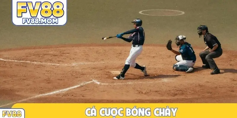 Cá cược bóng chày