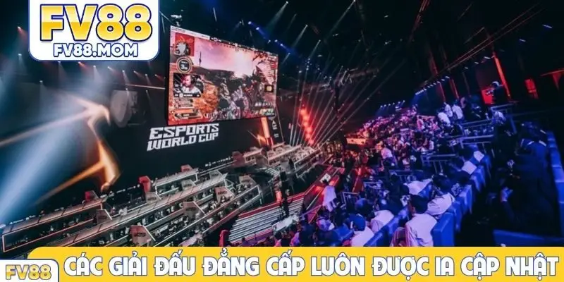 Các giải đấu đẳng cấp luôn được IA cập nhật thường xuyên