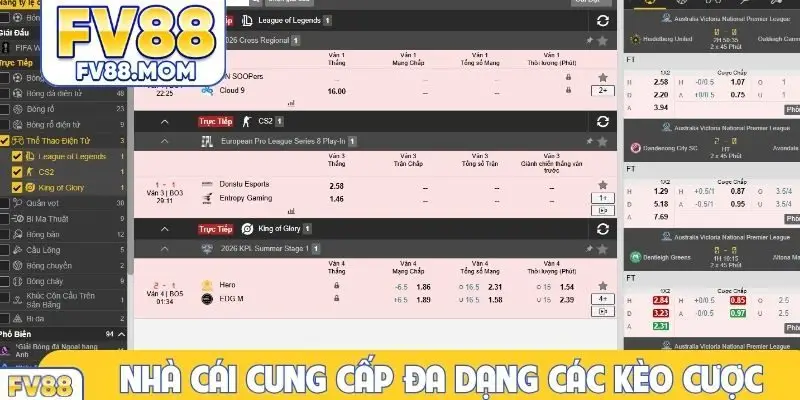 Nhà cái cung cấp đa dạng các kèo cược