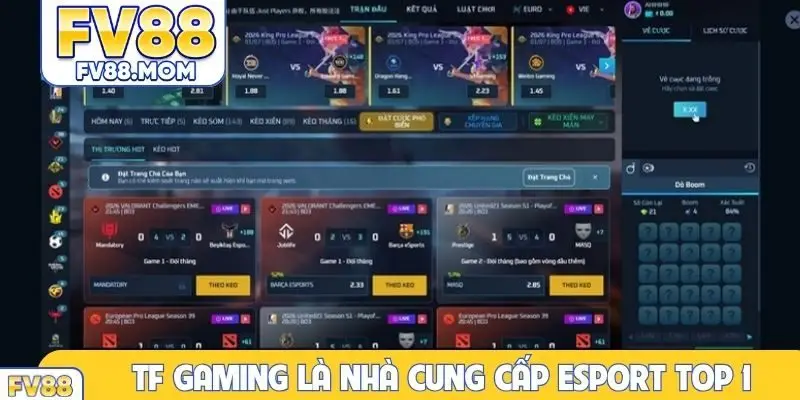 TF Gaming là nhà cung cấp Esports TOP 1